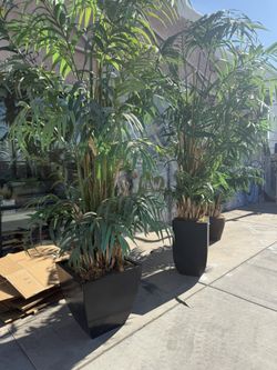 Artificial plant In Pots