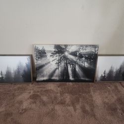 Three Piece Wall Decor