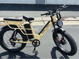 Electric mountain bike