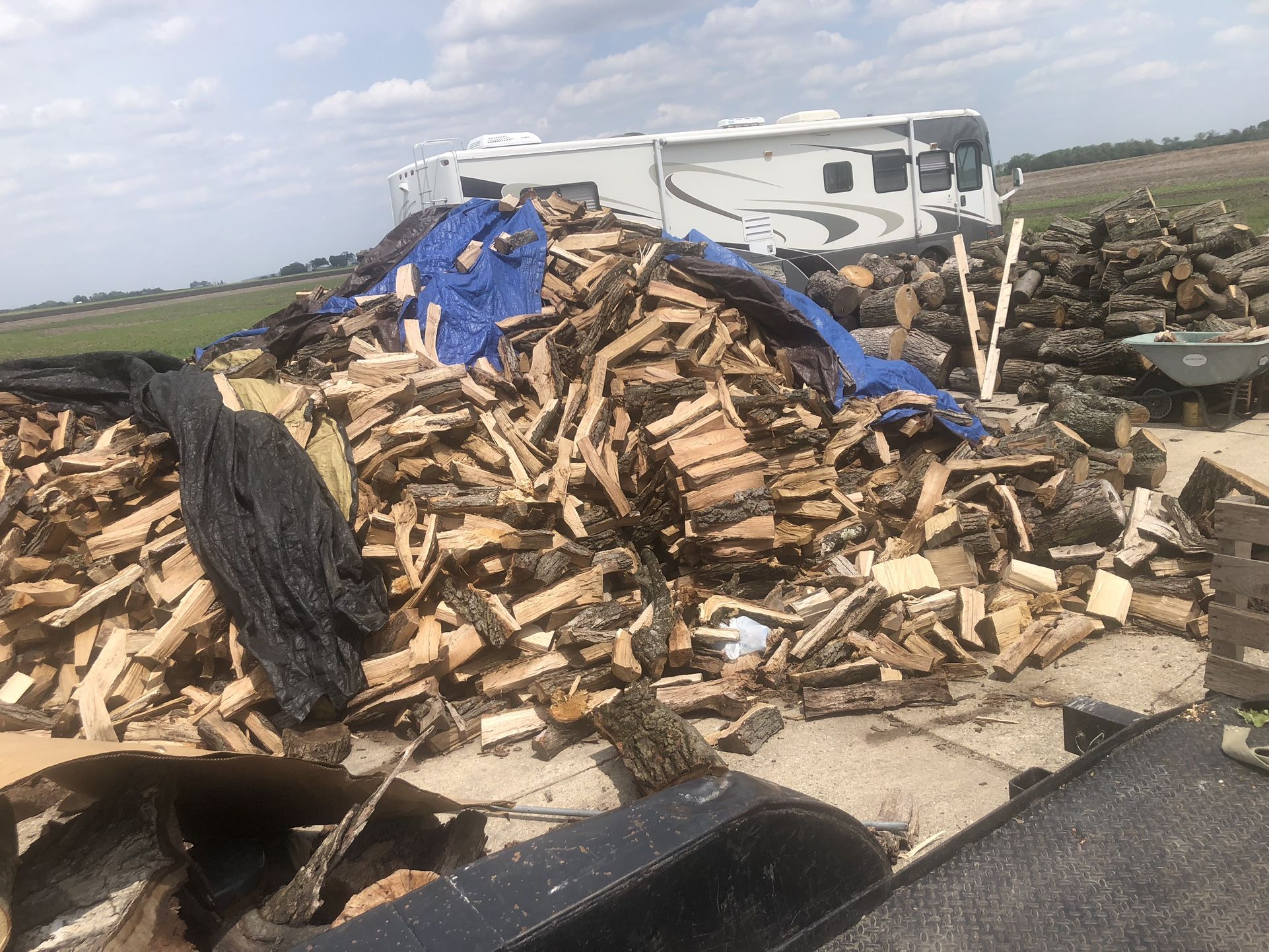 Firewood