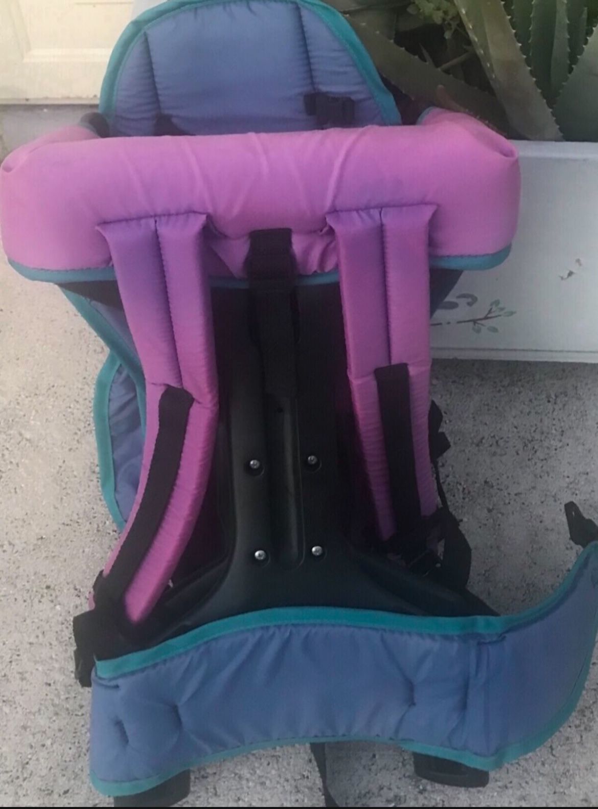 Hiking Baby Carrier