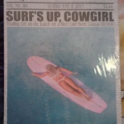 The Coastal Times Surfs Up Cowgirl Framed Canvas Wall Art Room Aesthetic