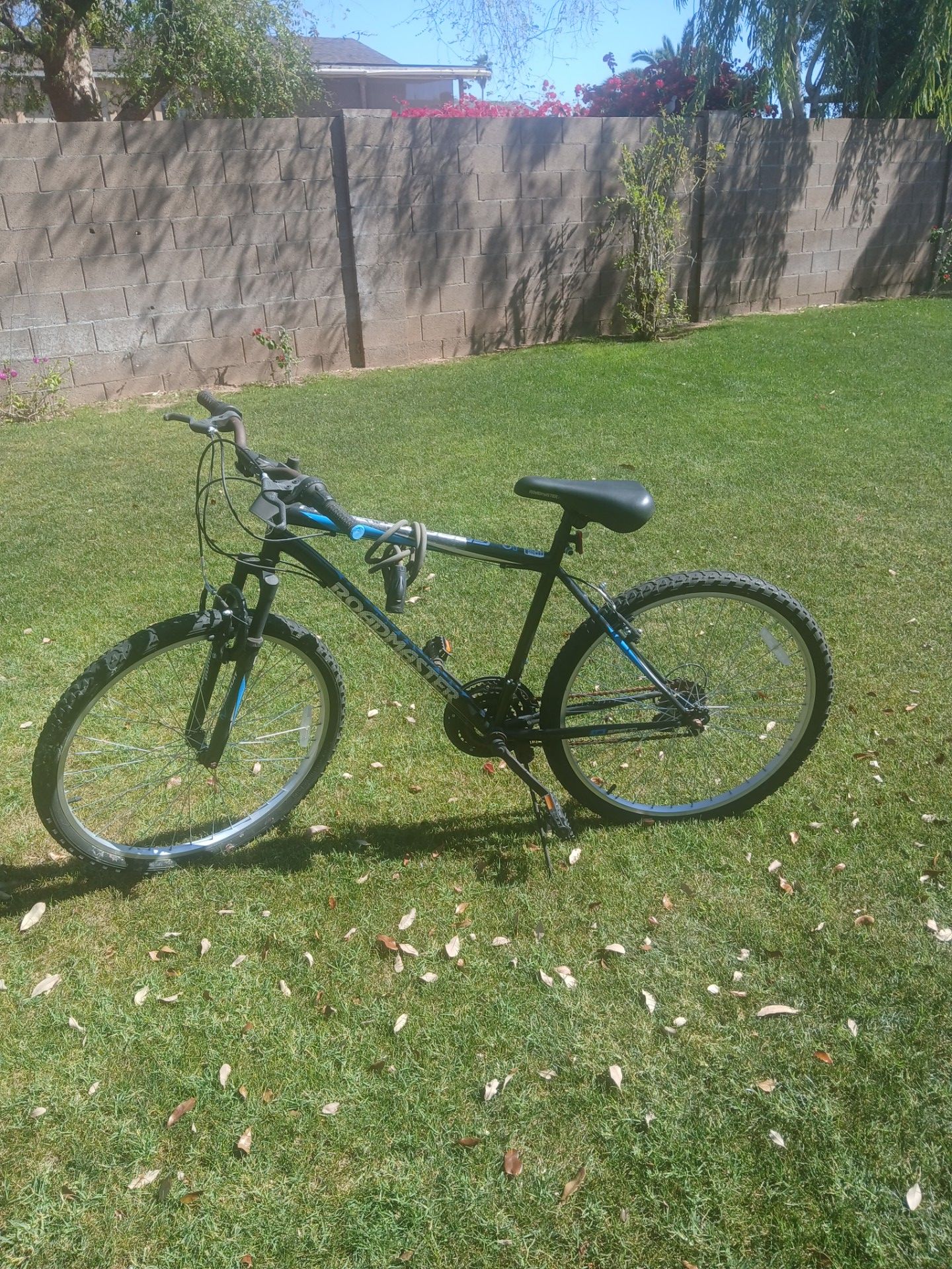 Huffy/promaster bikes