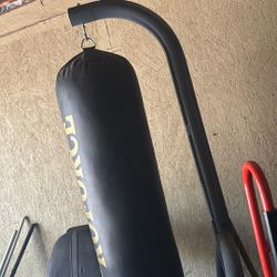 Pro force Punching Bag