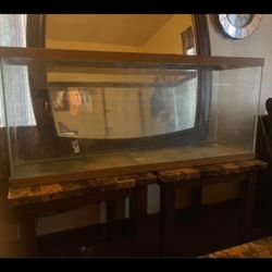 55 Gallon Fish Tank And Stuff!!