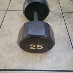 25lb Hex Dumbell 