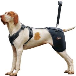Dog Hip Brace XL Back Handheld Design, Support Hip Dysplasia, Arthritis 2964S