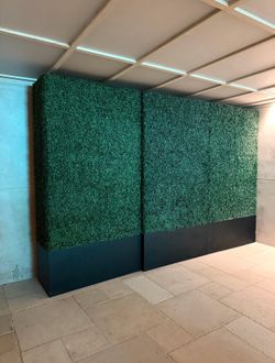 Commercial Grade Boxwood Hedge 10 total price is EA $1,000