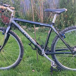 Cannondale Mountain Bike 