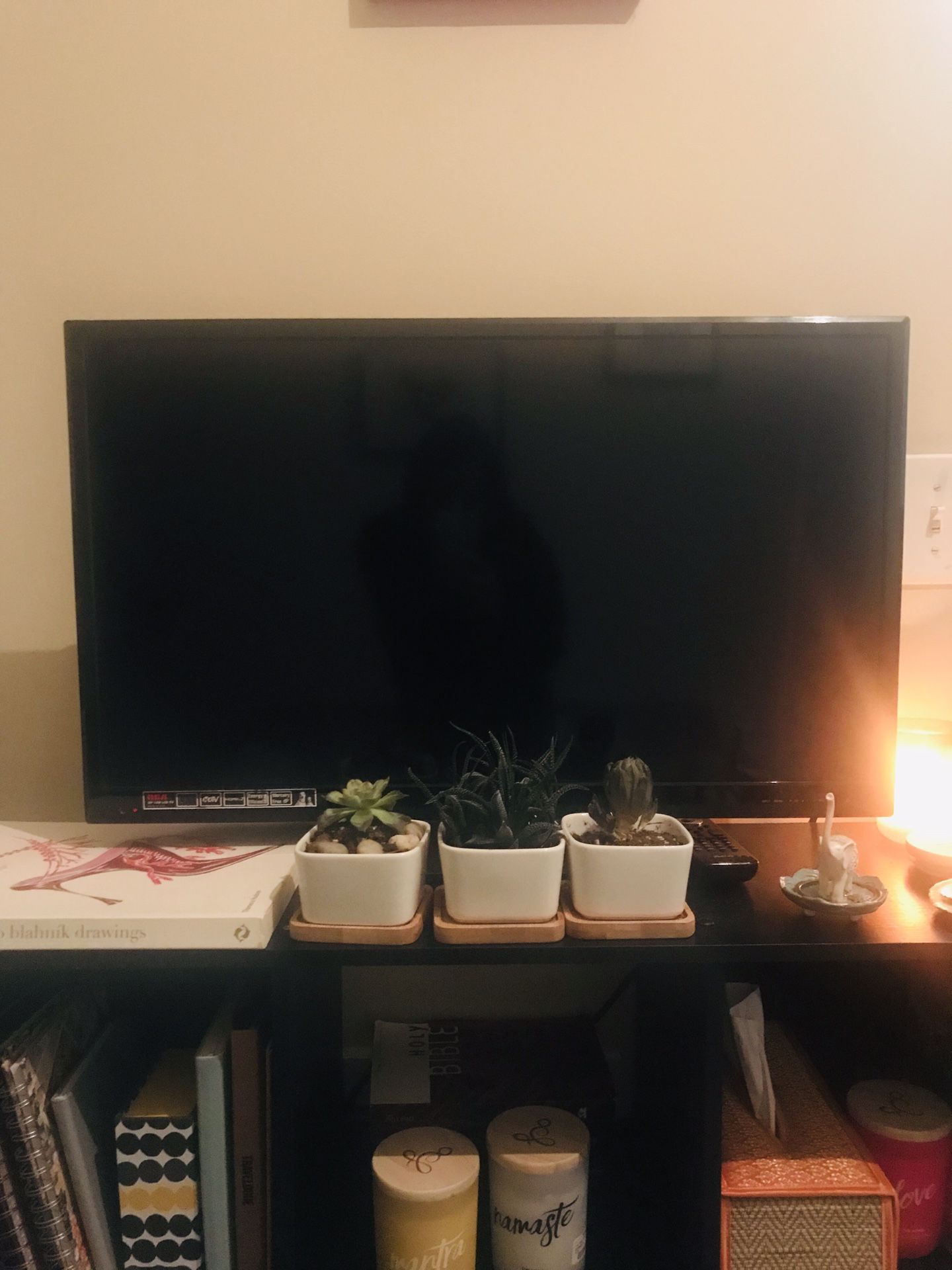 Two Day Moving Sale: RCA 29” TV