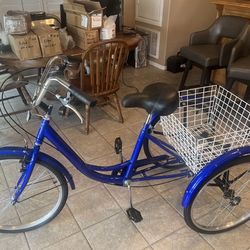 24 Inch Adult Tricycle