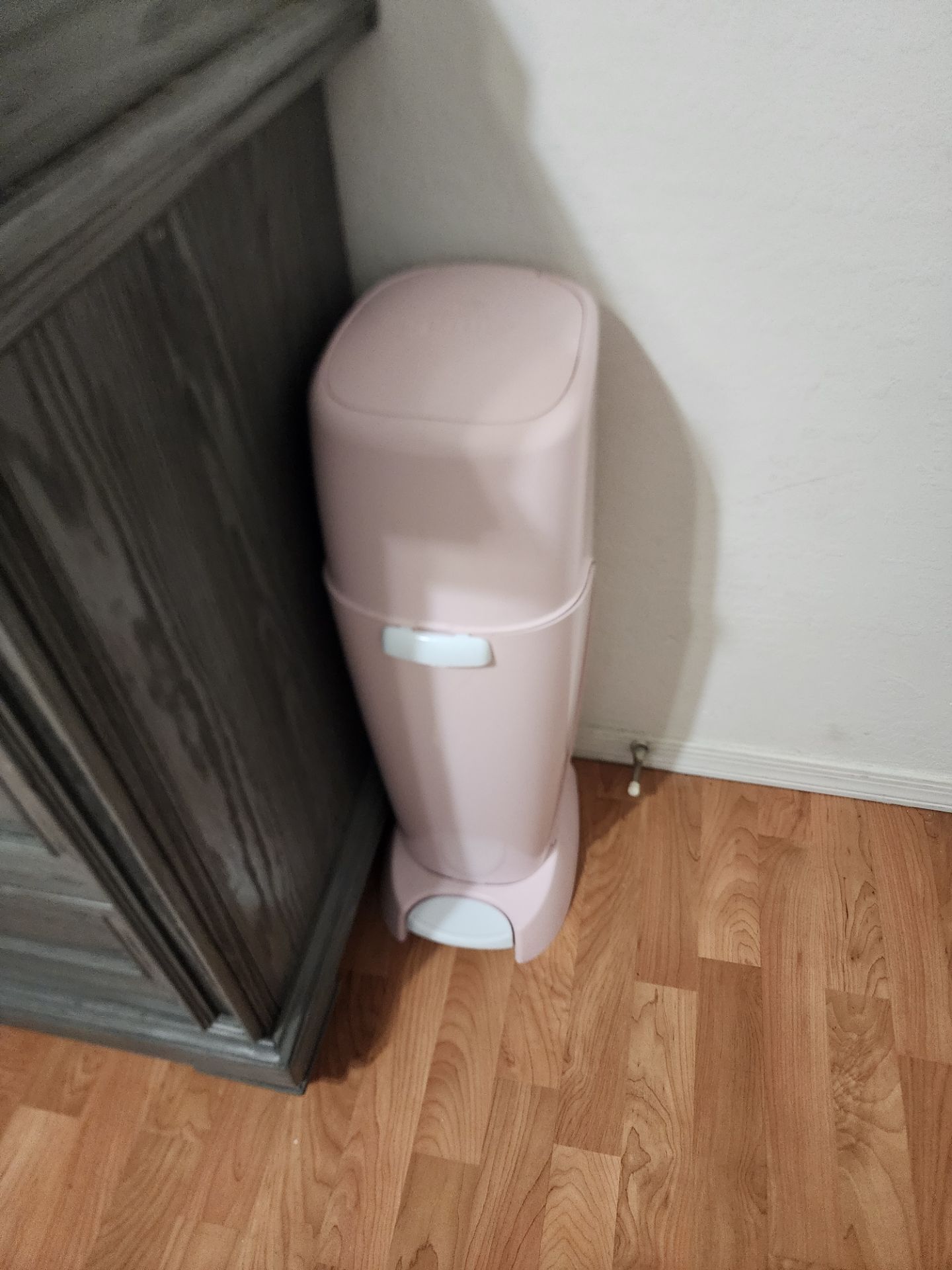 Diaper geenie