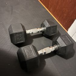 25lb (each) Dumbbell Pair 