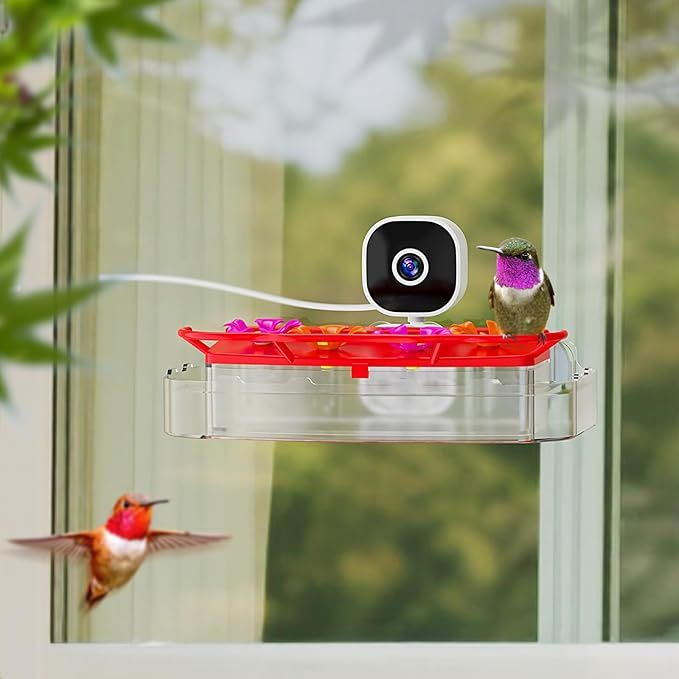Window Hummingbird Feeder with Camera