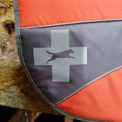 Life Vest For Large Dog