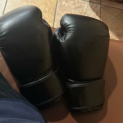 Venom 16 Oz Gloves 