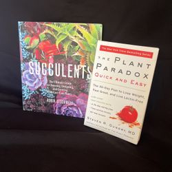 Succulents And The Plant Paradox Quick And Easy