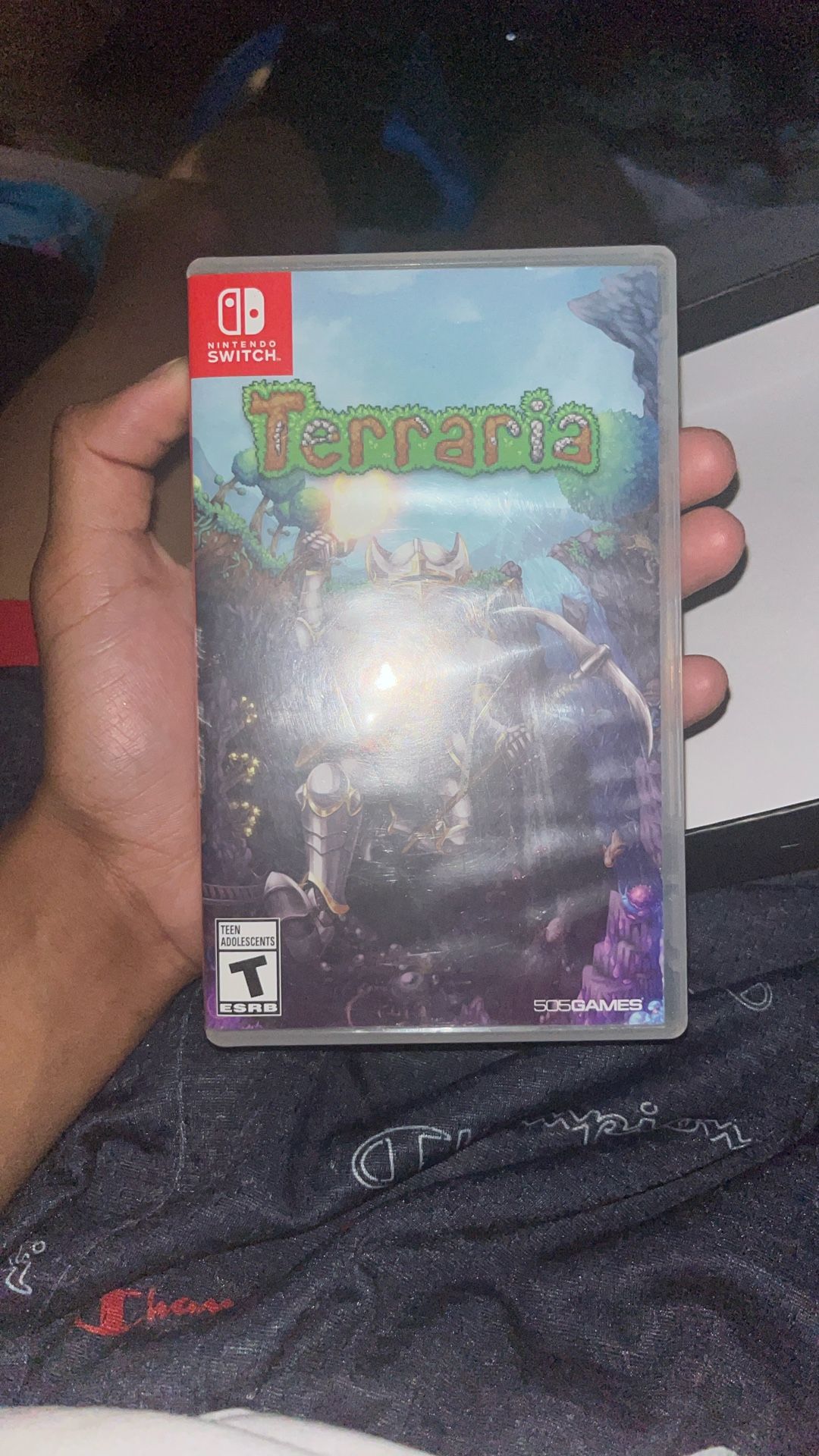 Nintendo Switch Terraria