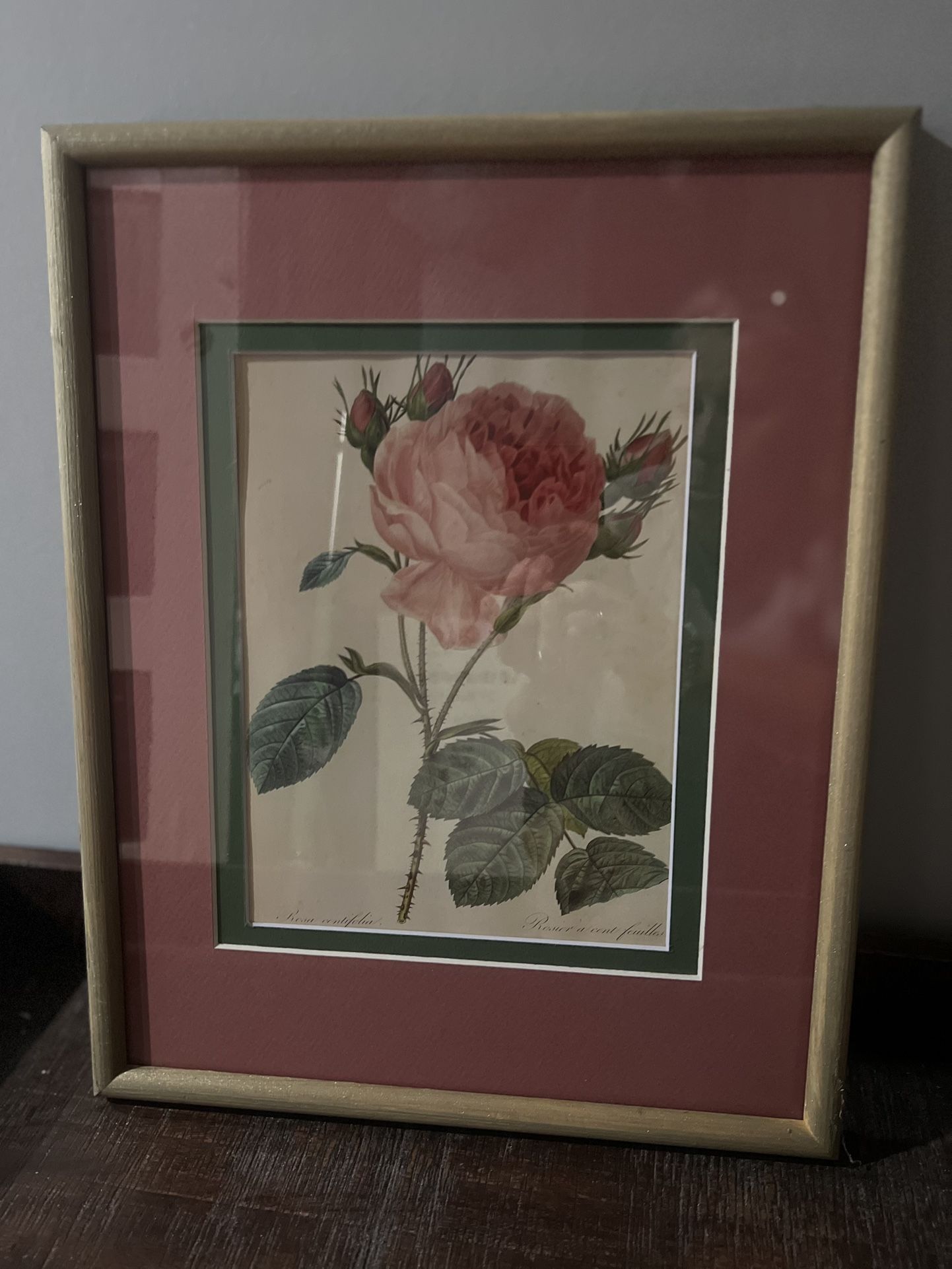 11x14 Vintage Flower Print