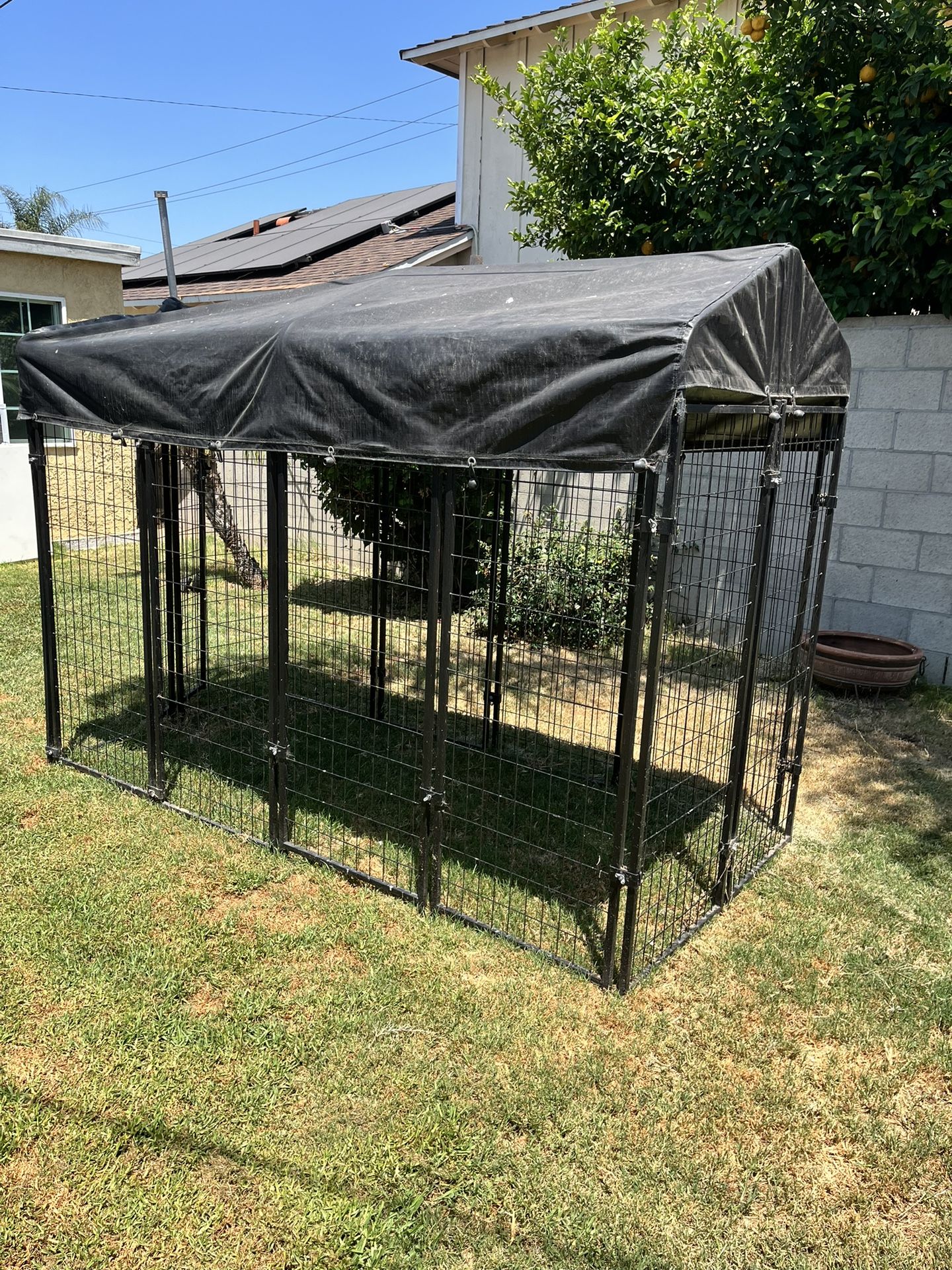 Dog Kennel