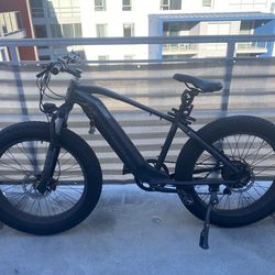 Fat Tire Electric Bike