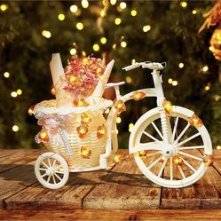 Thanksgiving String Lights,Fall Decor 16ft 50 LED /8 Modes Battery Powered with Remote, Fall Decorations for Thanksgiving , Christmas ,Indoor Outdoor 