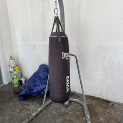 Punching Bag