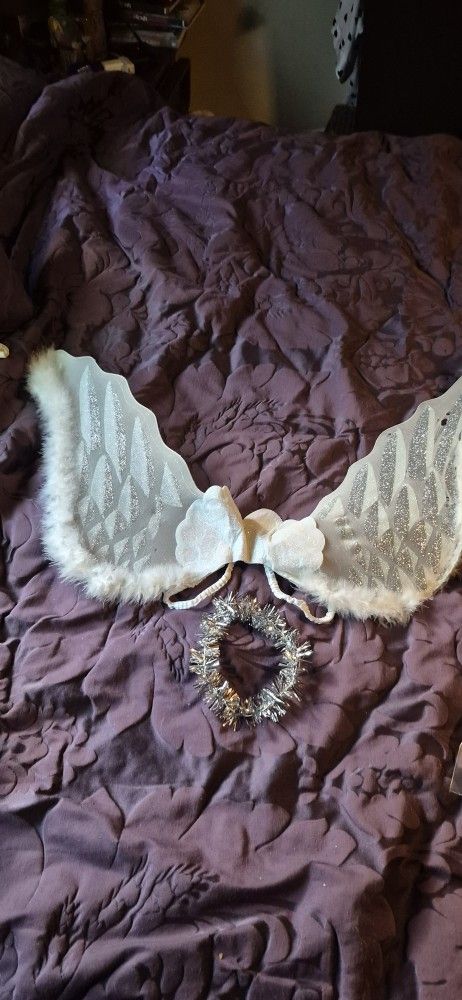 Angel Costume