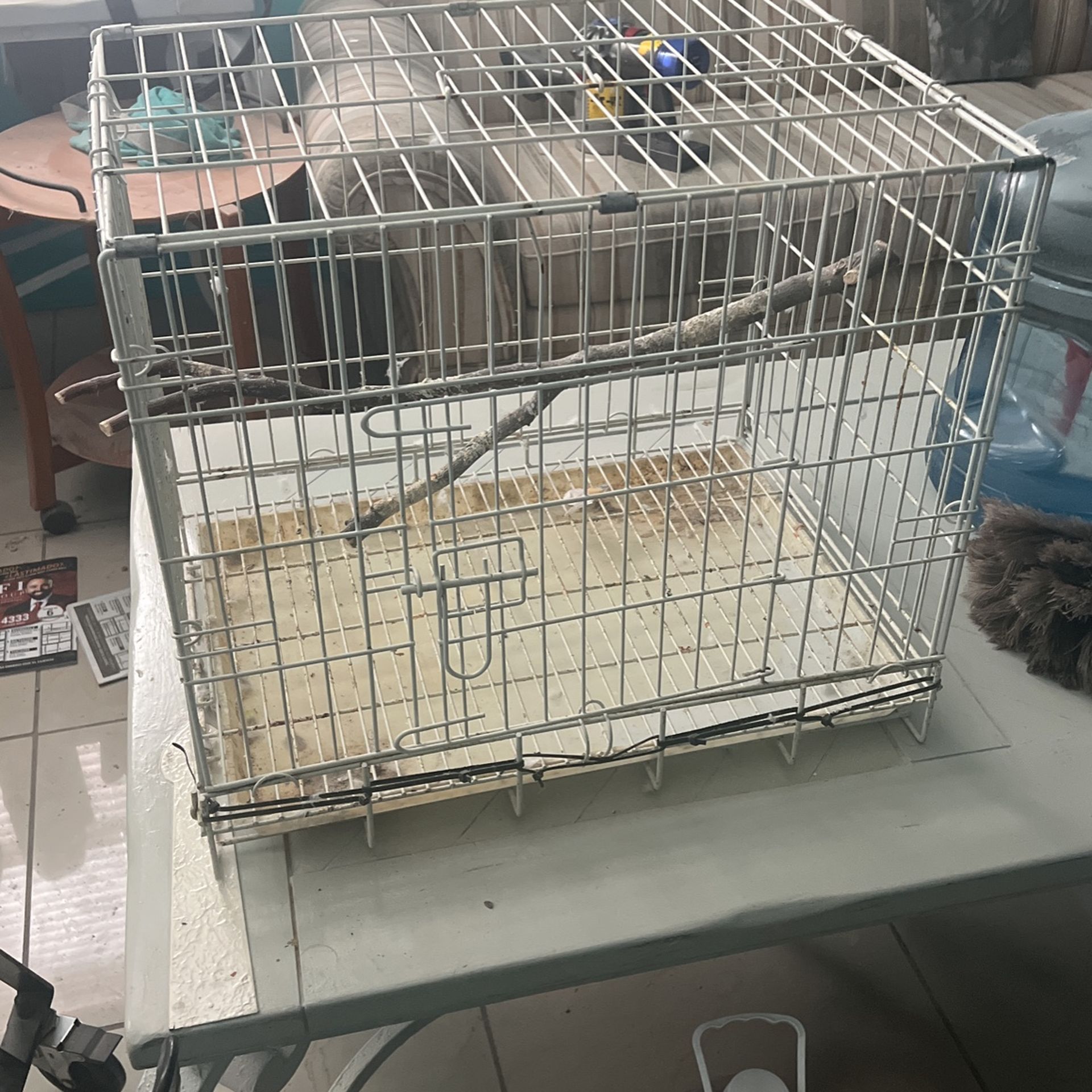 Medium Size Bird Cage