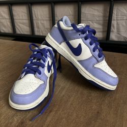 Kids Nike Dunks