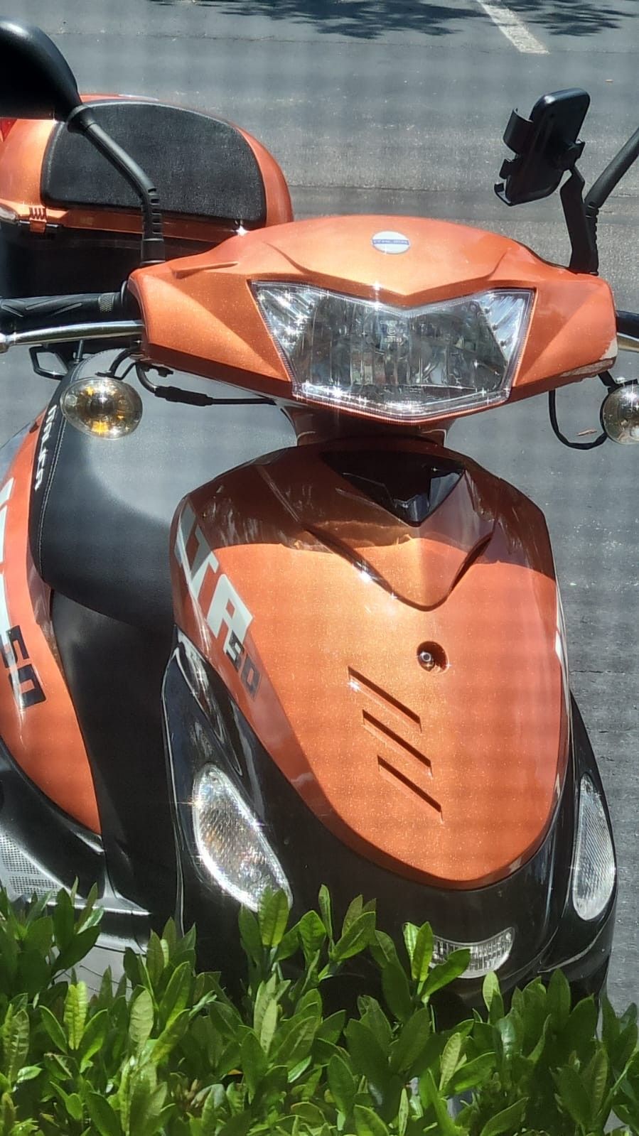 50 Cc Italica Moped