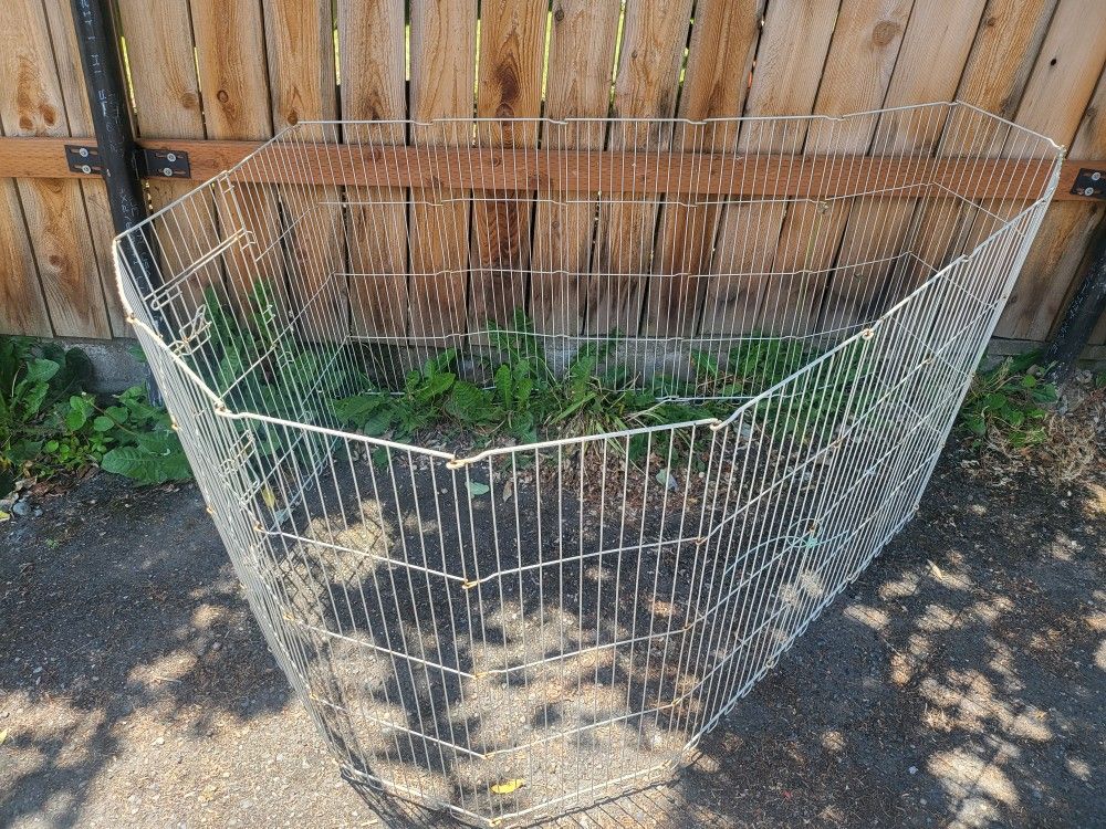 Dog Cage
