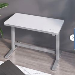 Adjustable Electric Work Station 