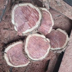 Cedar Slices And More 