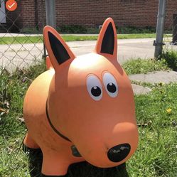 Dog Toy Bouncy Ride On 