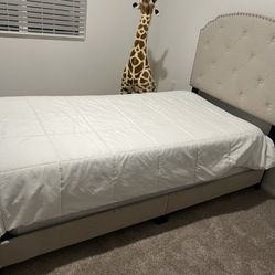 Twin ned frame and box spring