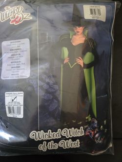 Wicked Witch The Wizard Of Oz Adult  Costume 