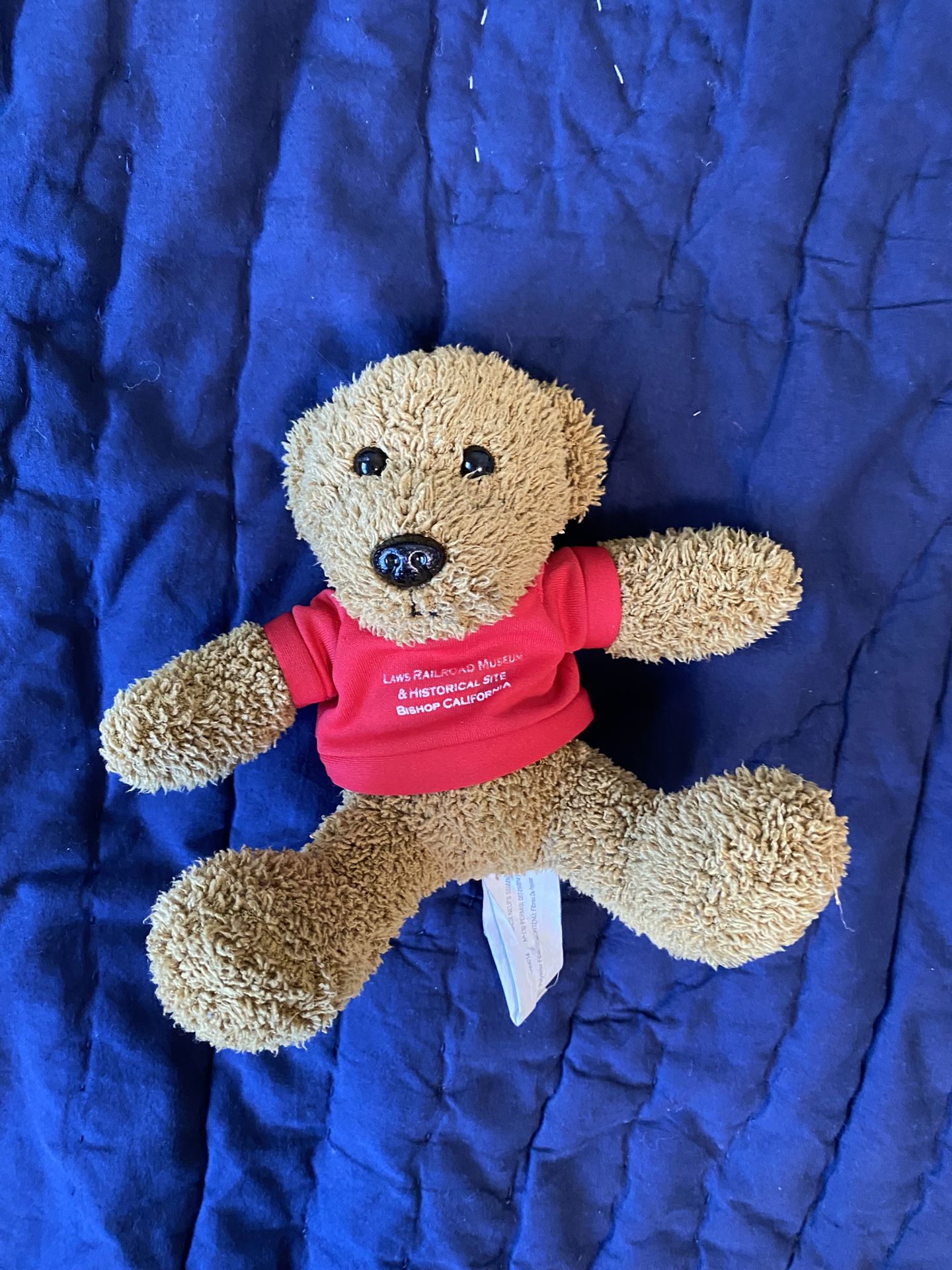 Teddy Bear Plush