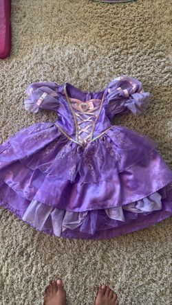 Disney Rapunzel Costume