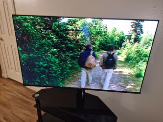 Roku Smart T V 58 inch
