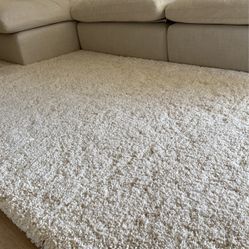 Safavieh Ivory Area Rug 9x12