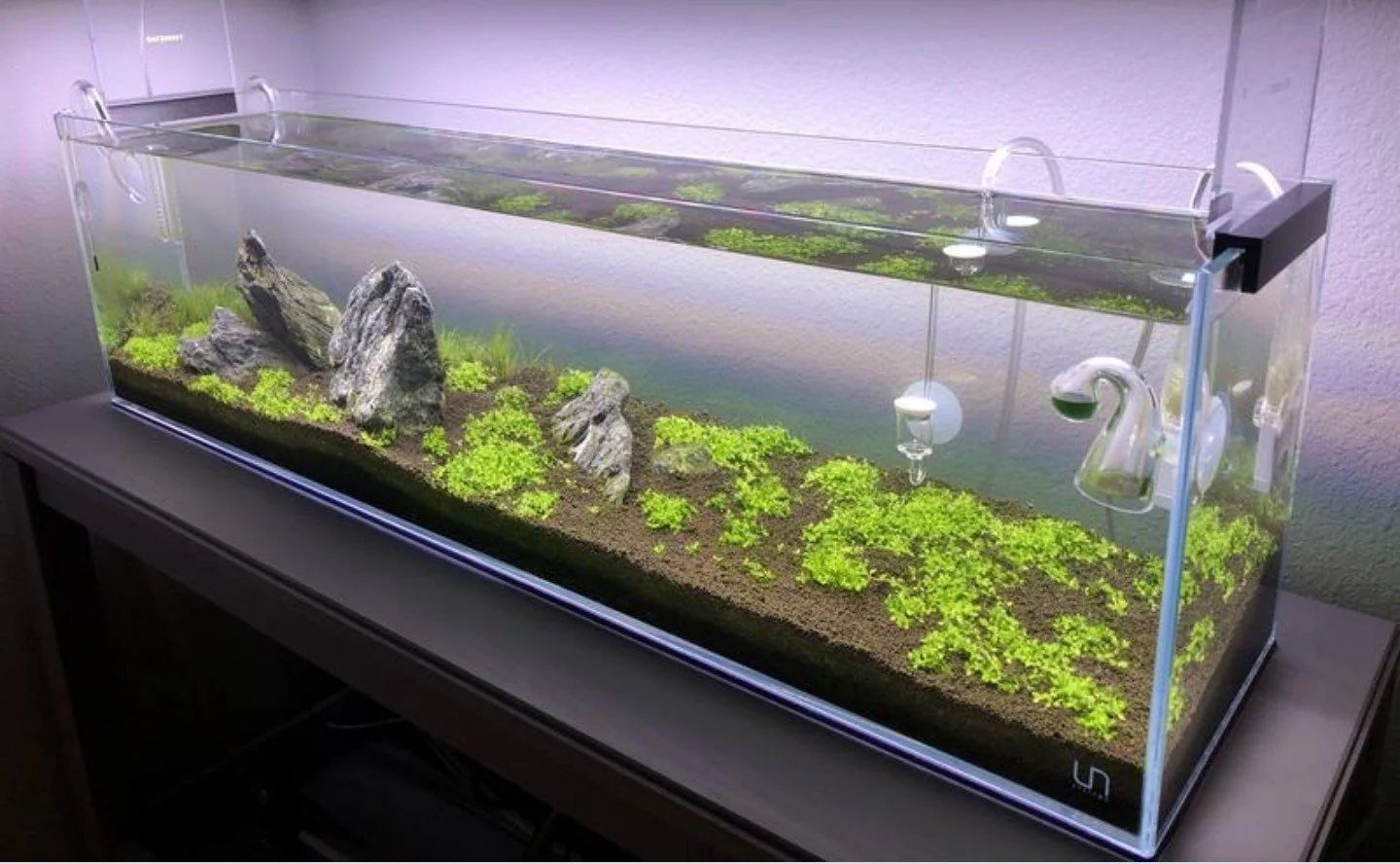 -Pending Trade 🐢📺 Looking to Trade: 43” TV for Large Turtle Tank (40+ Gallons)