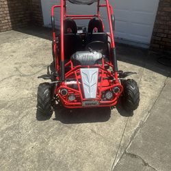 HammerHead Go kart