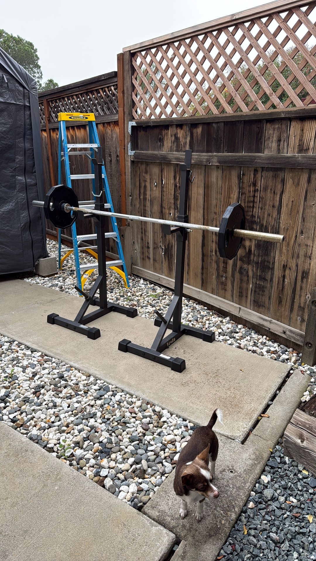 Weight Bar Bench And Stand