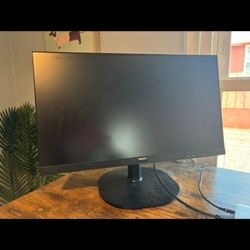 Phillips 21" Screen