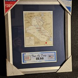 RARE VINTAGE (2006) USPS CUSTOM FRAMED COLLECTIBLE TOUR OF DUTY: IRAQ STAMP ART