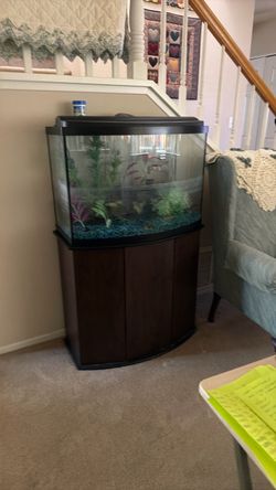 30 gallon aquarium tank w/ stand