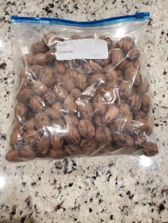 Pecans For Sale, Freshly Harvested 