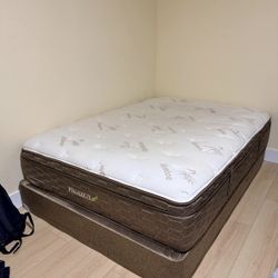 Brand New Queen Mattress 