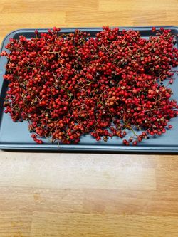 Sichuan plants
